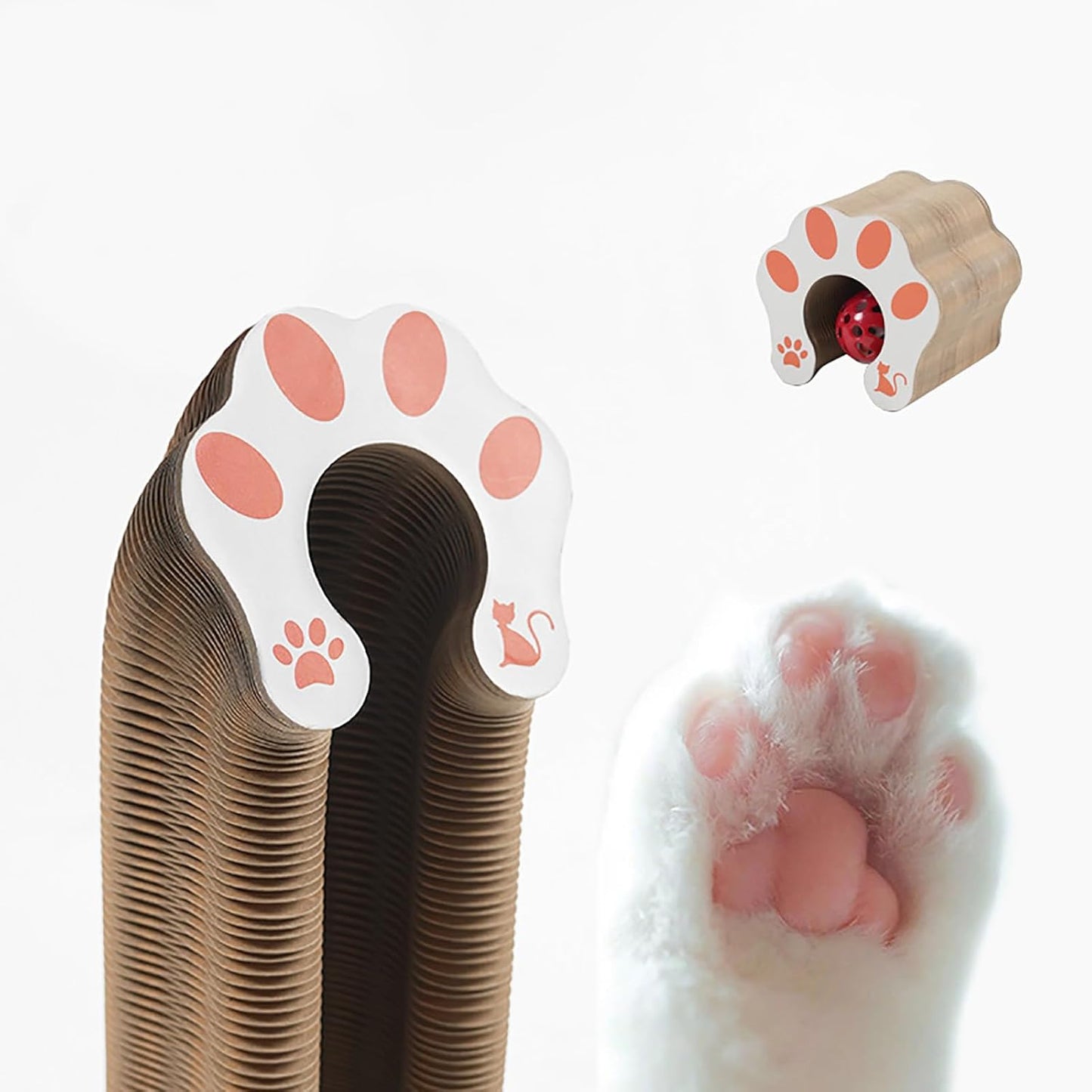Magic Organ Cat Scratcher & Teaser Toy