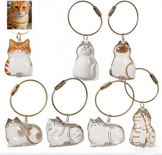 Cat hair storage keychain-6PCS