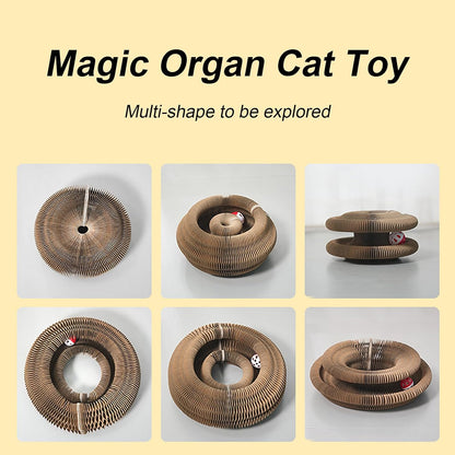 Magic Organ Cat Scratcher & Teaser Toy