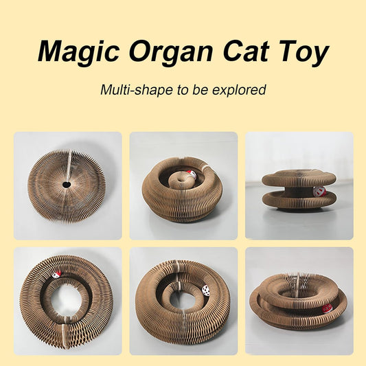 Magic Organ Cat Scratcher & Teaser Toy