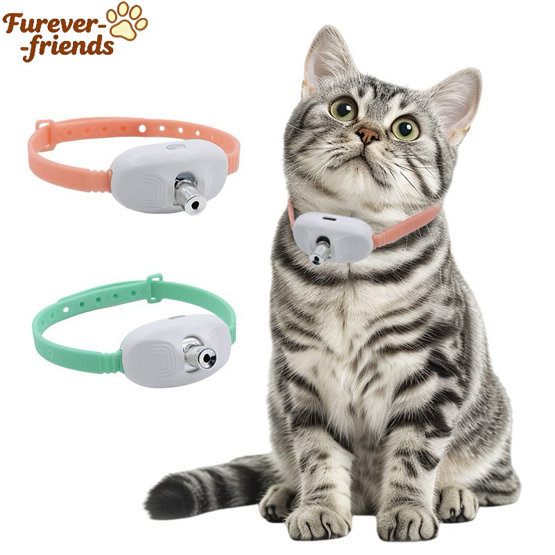 Cat Laser Self-Play Collar