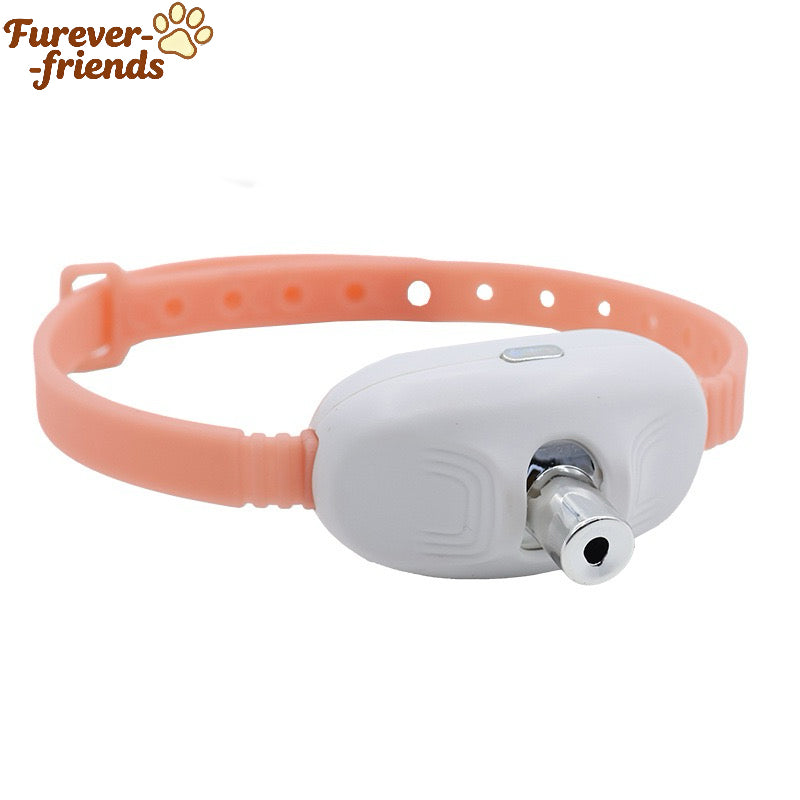 Cat Laser Self-Play Collar