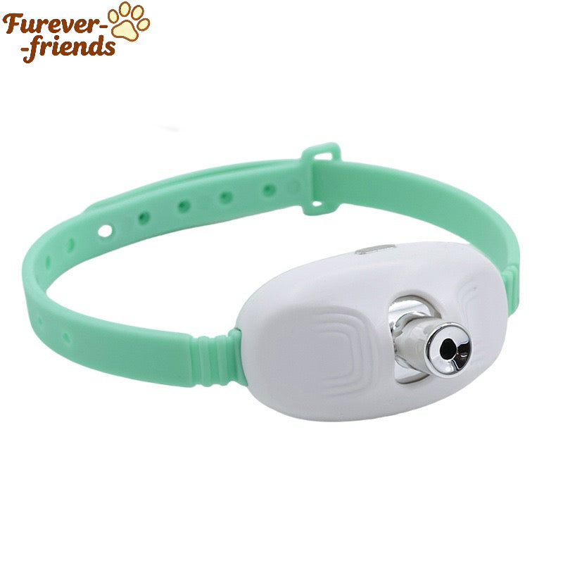 Cat Laser Self-Play Collar