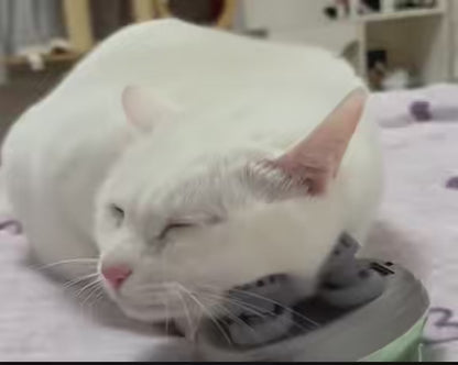 Cat Waterproof Electric Head Massager